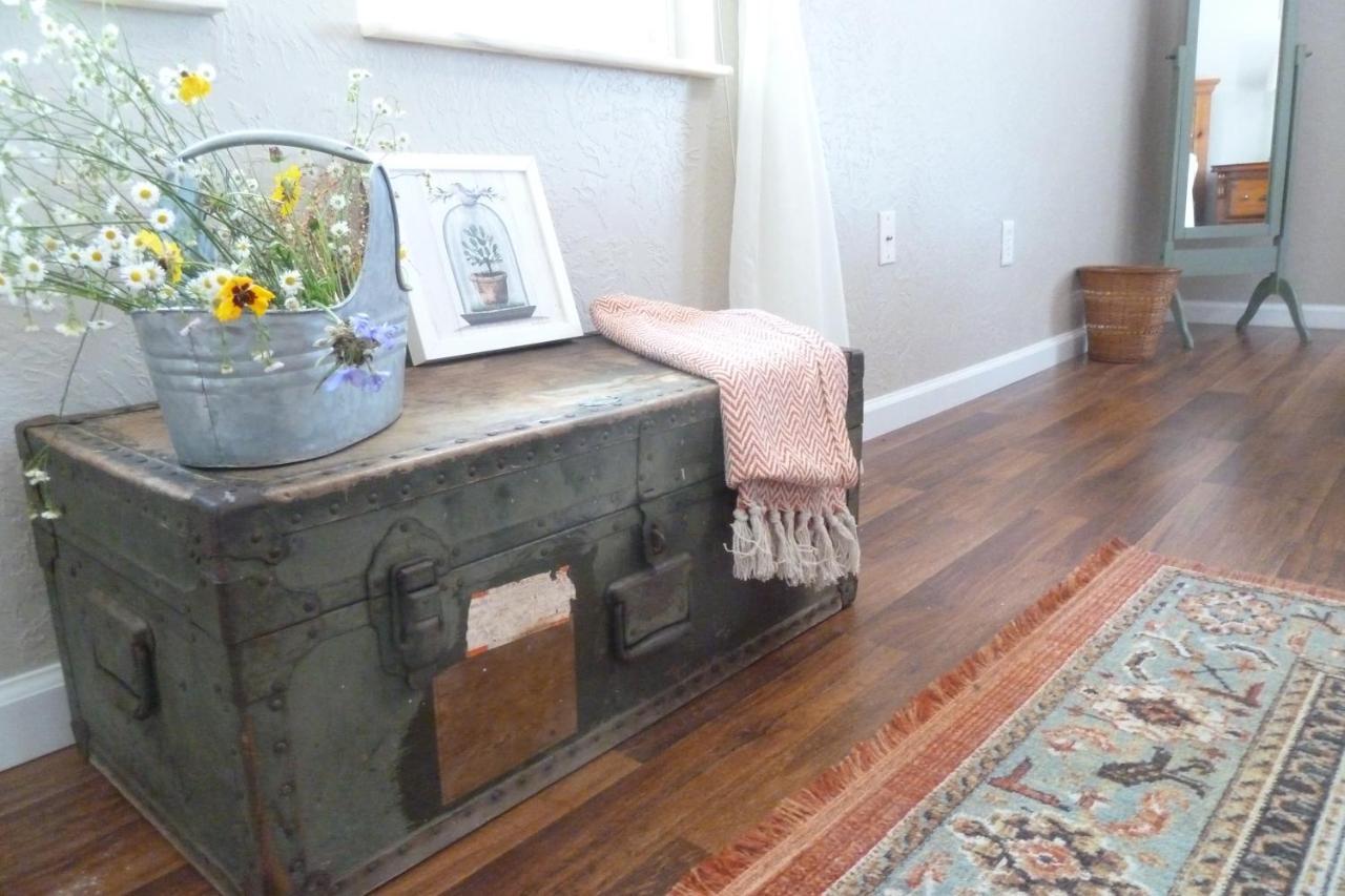 Micanopy Countyline Cottages المظهر الخارجي الصورة