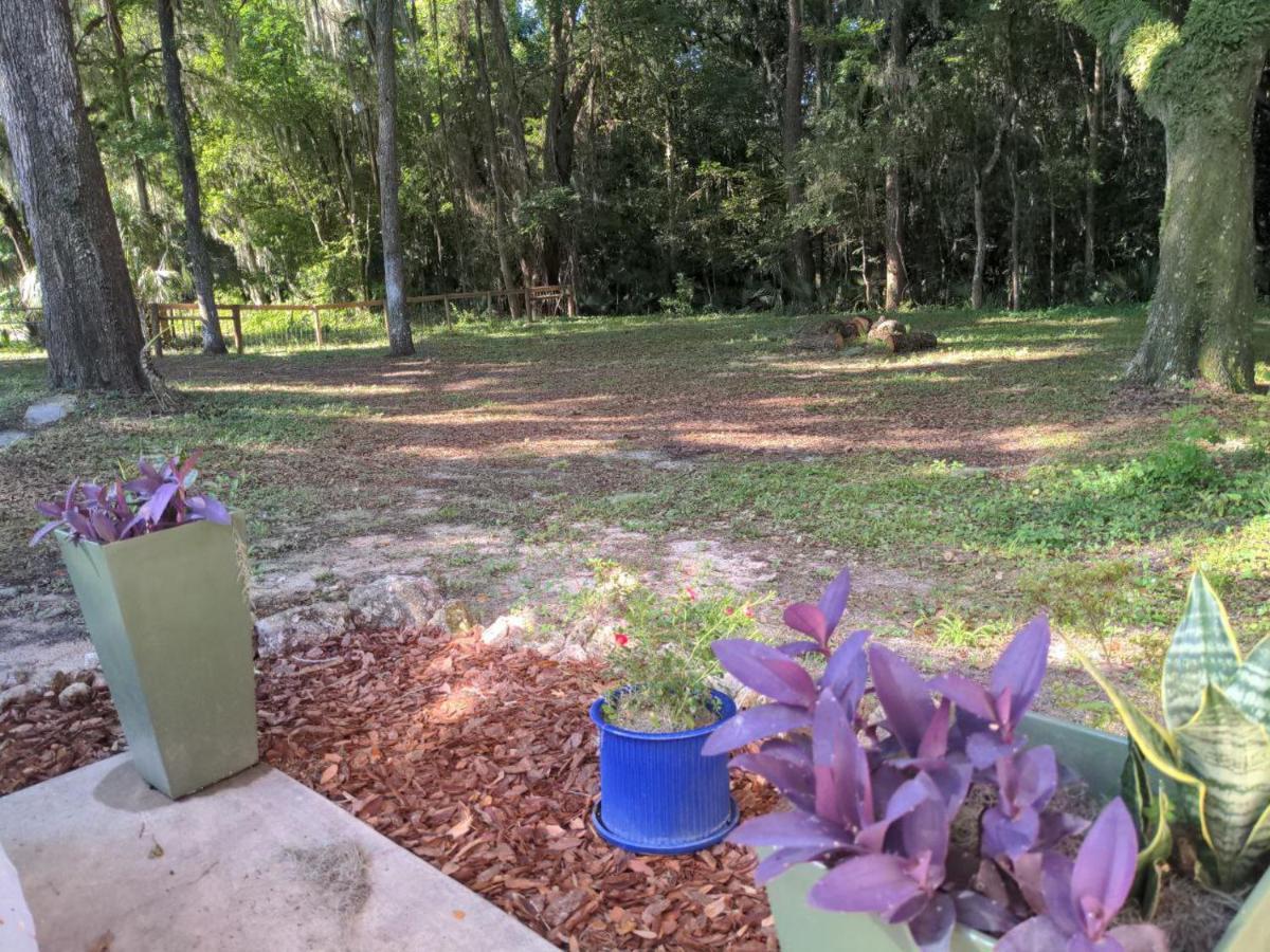 Micanopy Countyline Cottages المظهر الخارجي الصورة